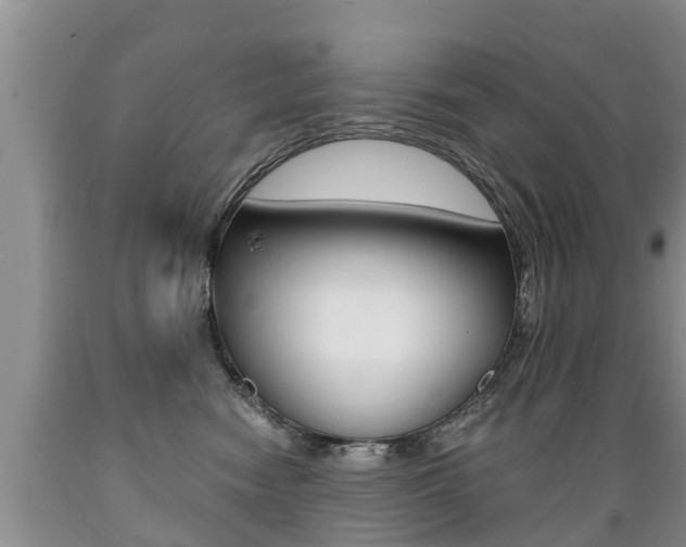 X0000089730474200706210920