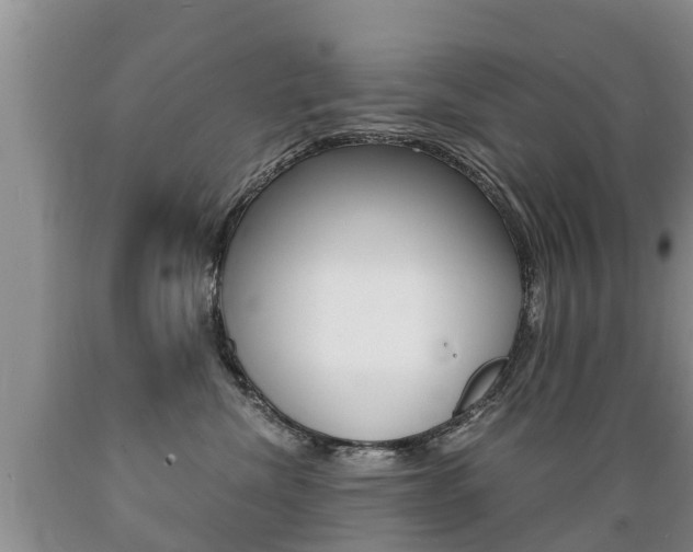 X0000089730476200706210920