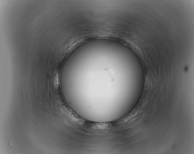 X0000089730479200706210920