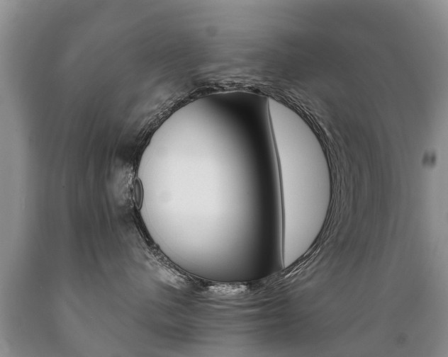 X0000089730480200706210920
