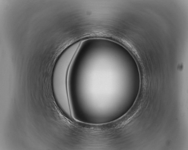 X0000089730481200706210919