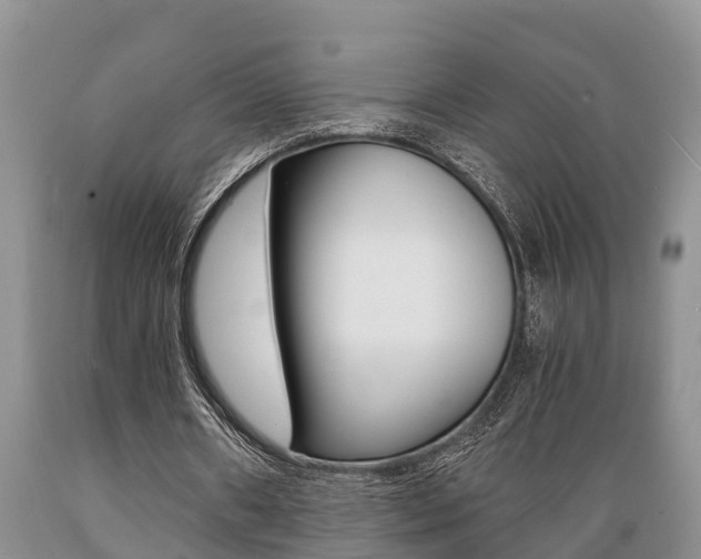 X0000089730482200706210919