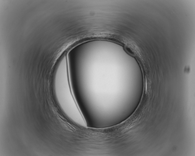 X0000089730483200706210919