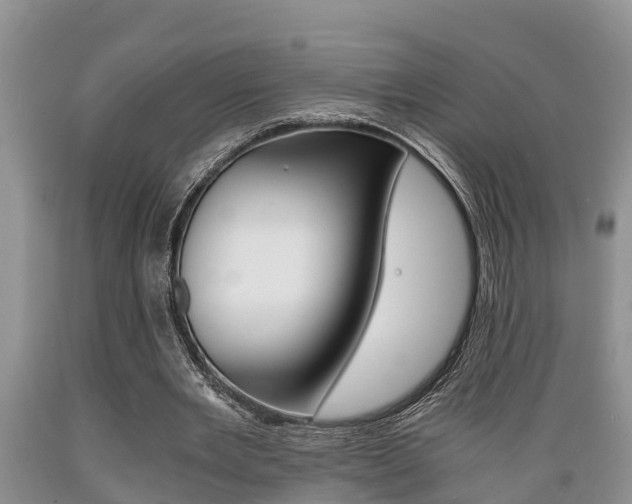 X0000089730485200706210919