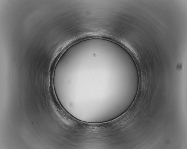 X0000089730486200706210919