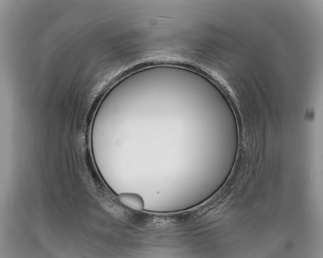 X0000089730487200706210919