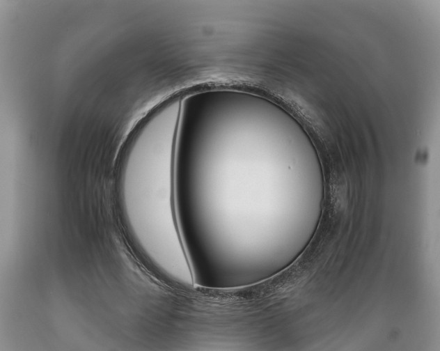 X0000089730488200706210919