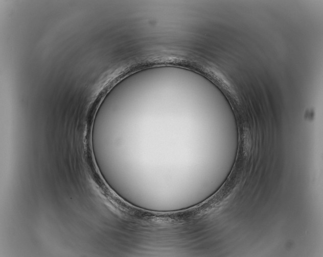 X0000089730490200706210919