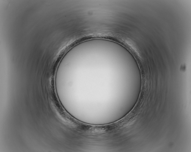 X0000089730491200706210919