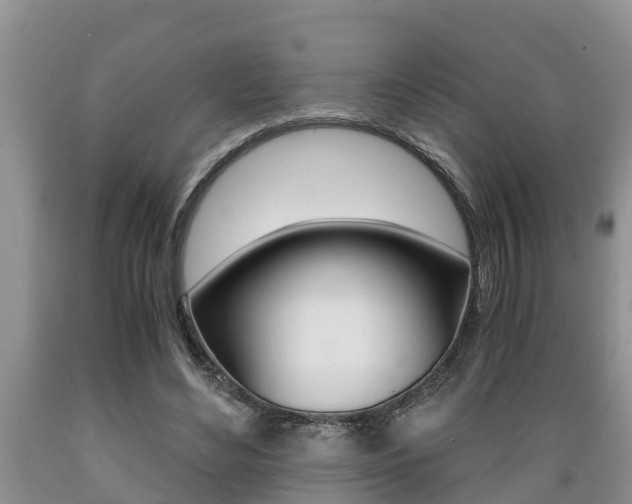 X0000089730492200706210919