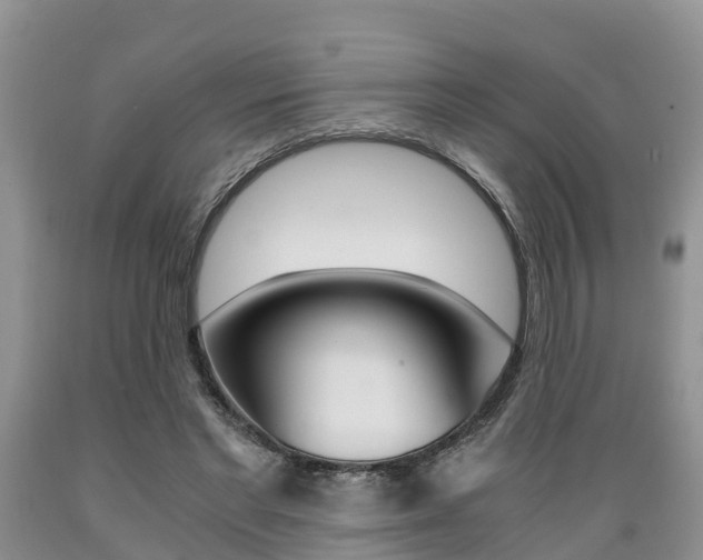 X0000089730493200706210919