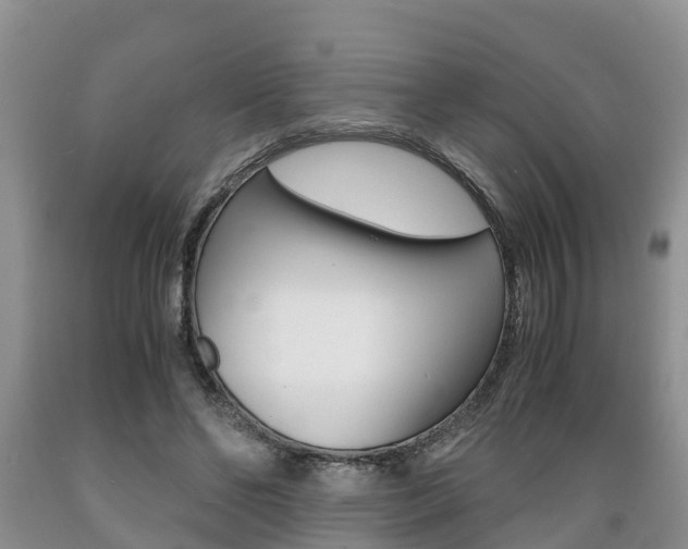 X0000089730494200706210919