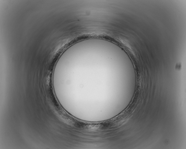 X0000089730495200706210919