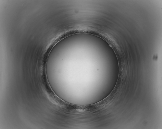 X0000089730496200706210919