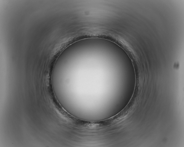 X0000089730497200706210919