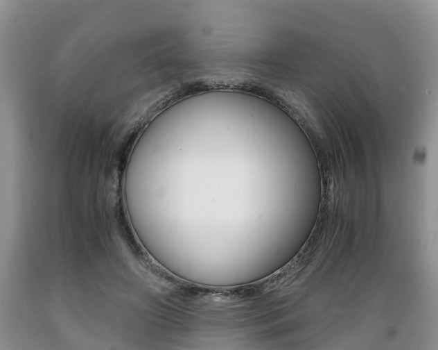 X0000089730498200706210919