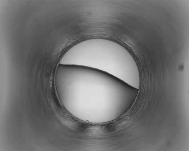 X0000089730499200706210919