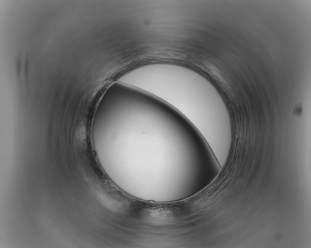 X0000089730500200706210919