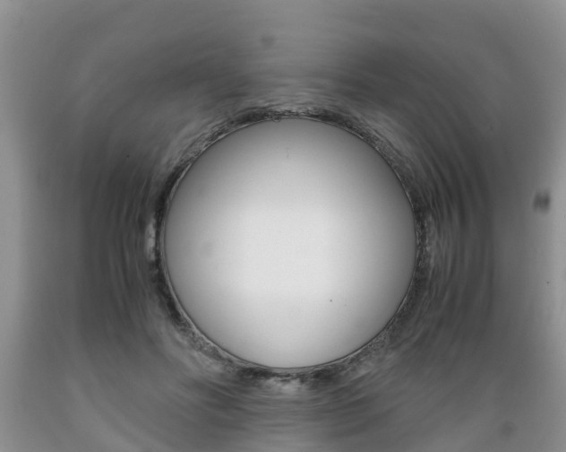 X0000089730502200706210919
