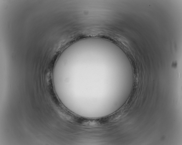 X0000089730503200706210919