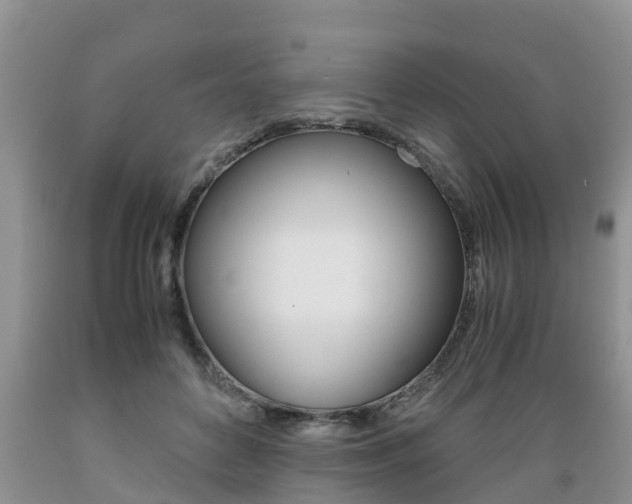 X0000089730504200706210919