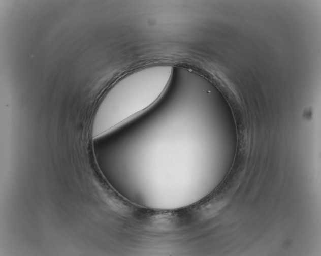 X0000089730505200706210919