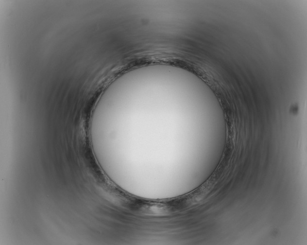X0000089730506200706210919