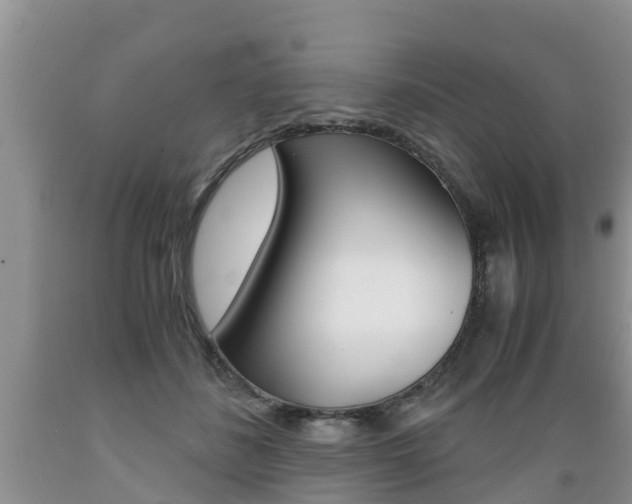 X0000089730508200706210919