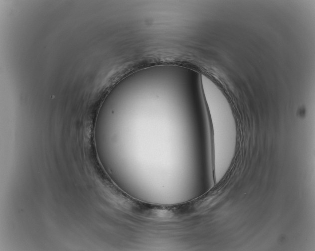 X0000089730509200706210919