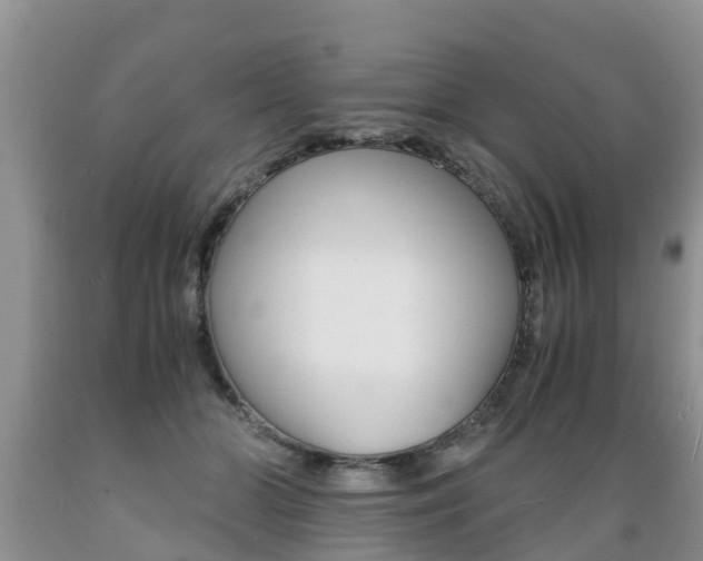 X0000089730510200706210919