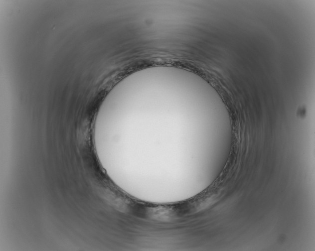 X0000089730511200706210919