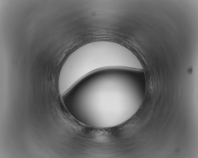 X0000089730512200706210919