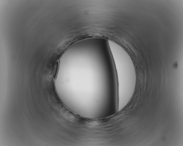 X0000089730513200706210919
