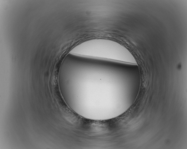 X0000089730515200706210919