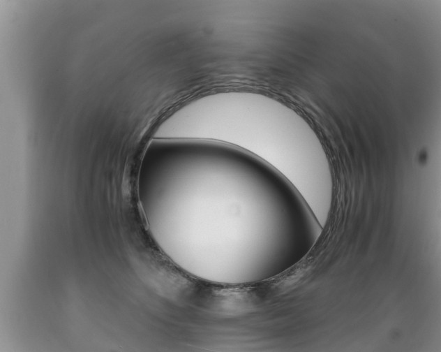 X0000089730516200706210919