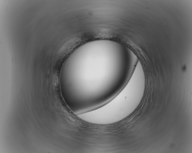 X0000089730517200706210919