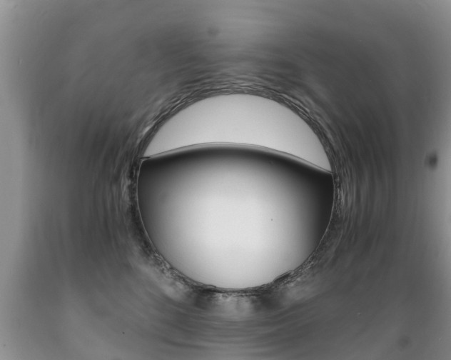 X0000089730520200706210919