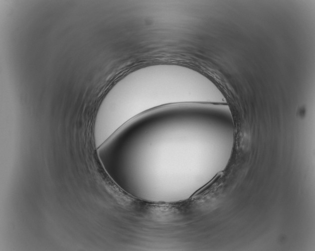 X0000089730521200706210919