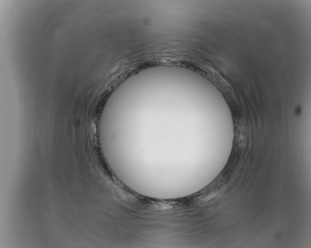X0000089730523200706210919