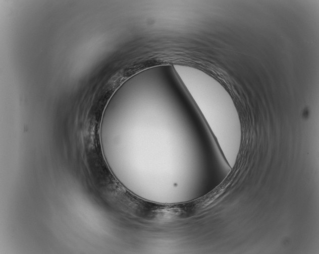 X0000089730525200706210919