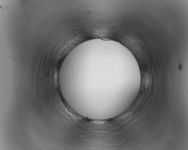 X0000089730526200706210919