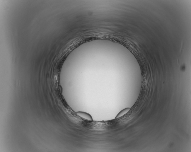 X0000089730527200706210919