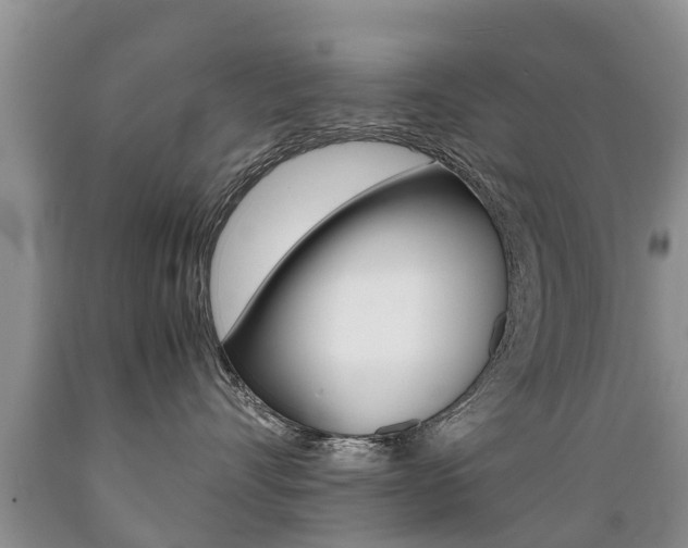X0000089730528200706210919