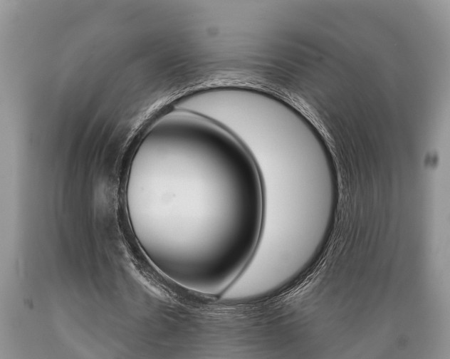 X0000089730530200706210918