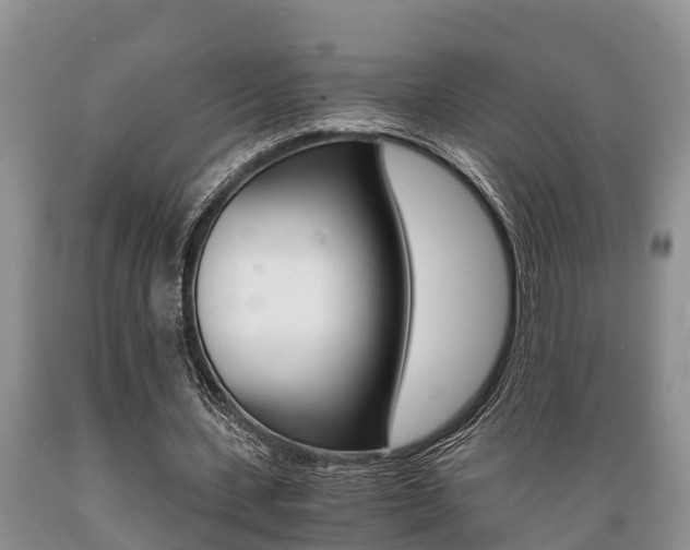 X0000089730531200706210918
