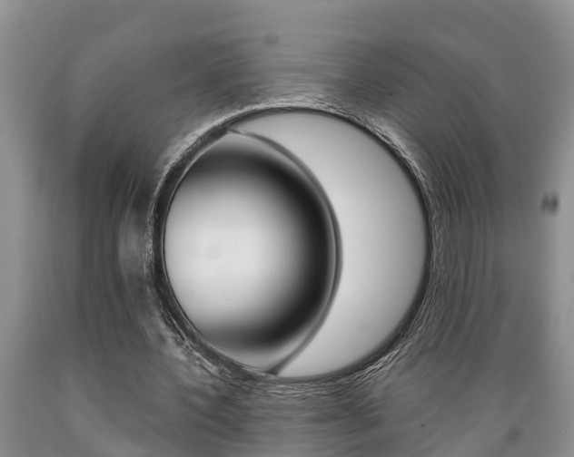 X0000089730532200706210918