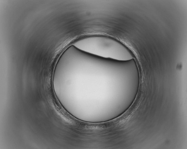 X0000089730533200706210918