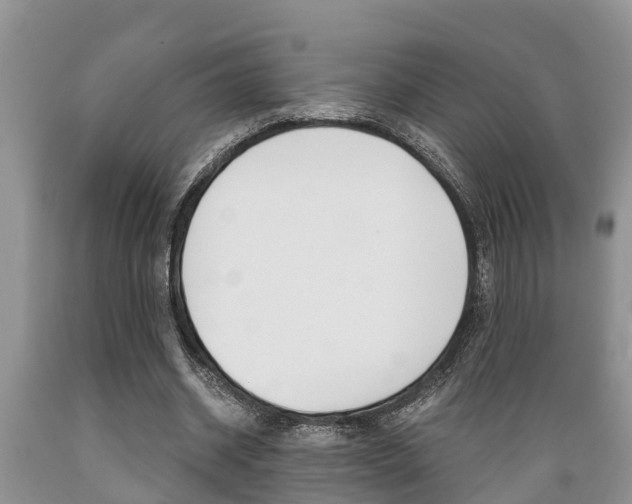 X0000089730534200706210918