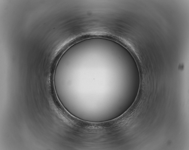 X0000089730535200706210918