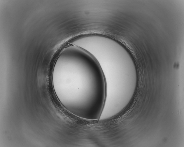 X0000089730536200706210918